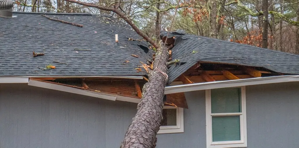 Home in need of storm damage restoration after a tree fell and broke through the roof.