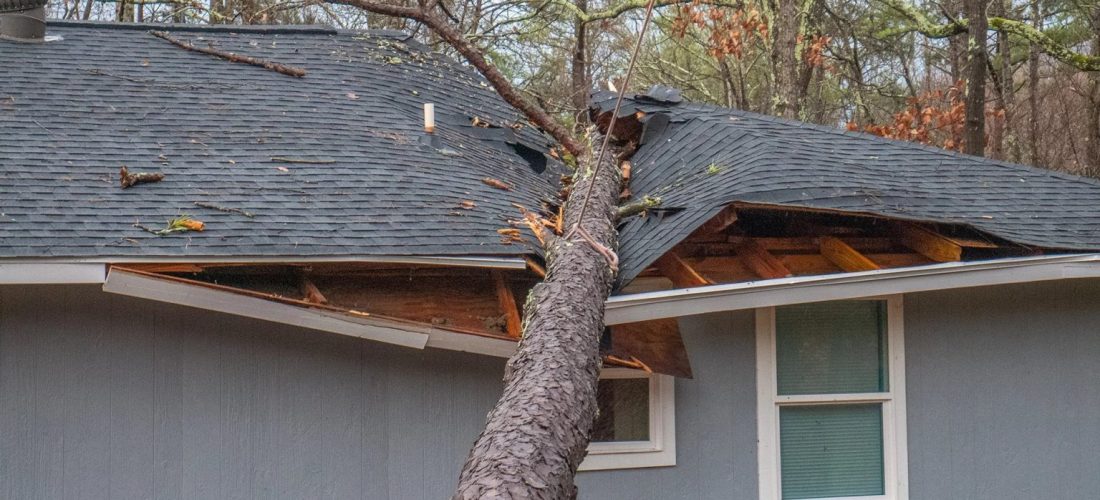 storm-damage-restoration-tree-on-roof-1536x763